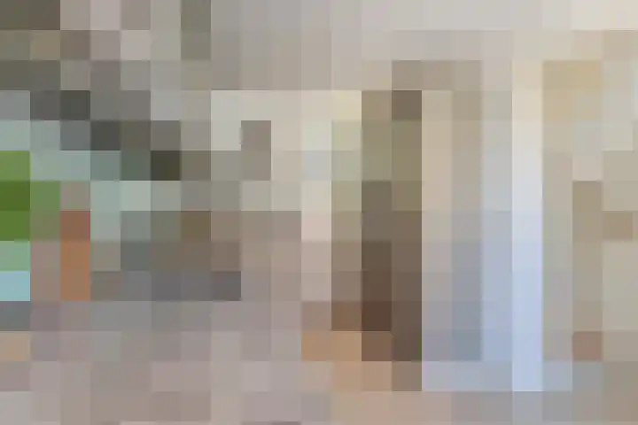 Lindelaan 21 Krommenie thumbnail 8