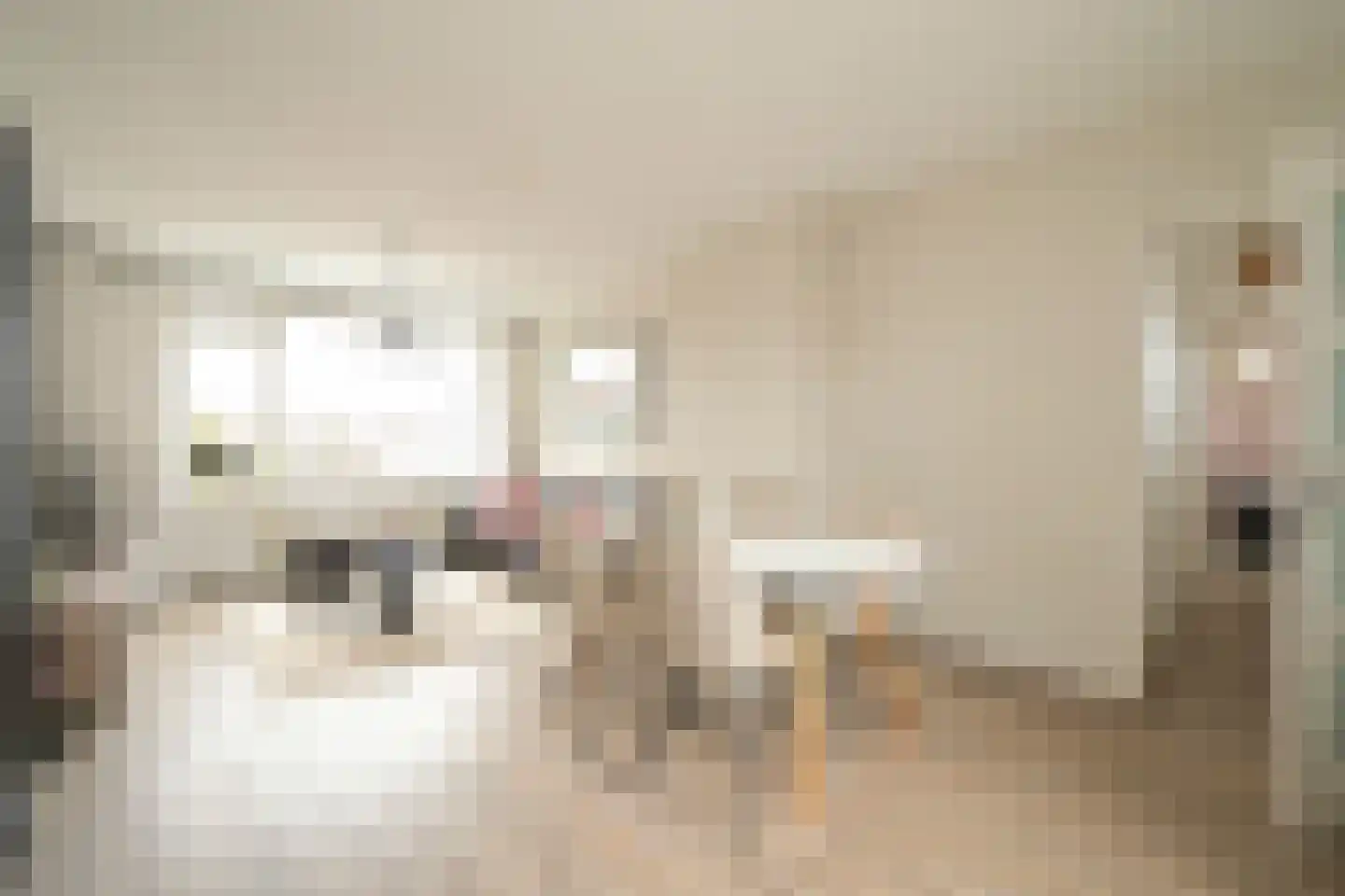Lindelaan 215 Rijswijk thumbnail 11