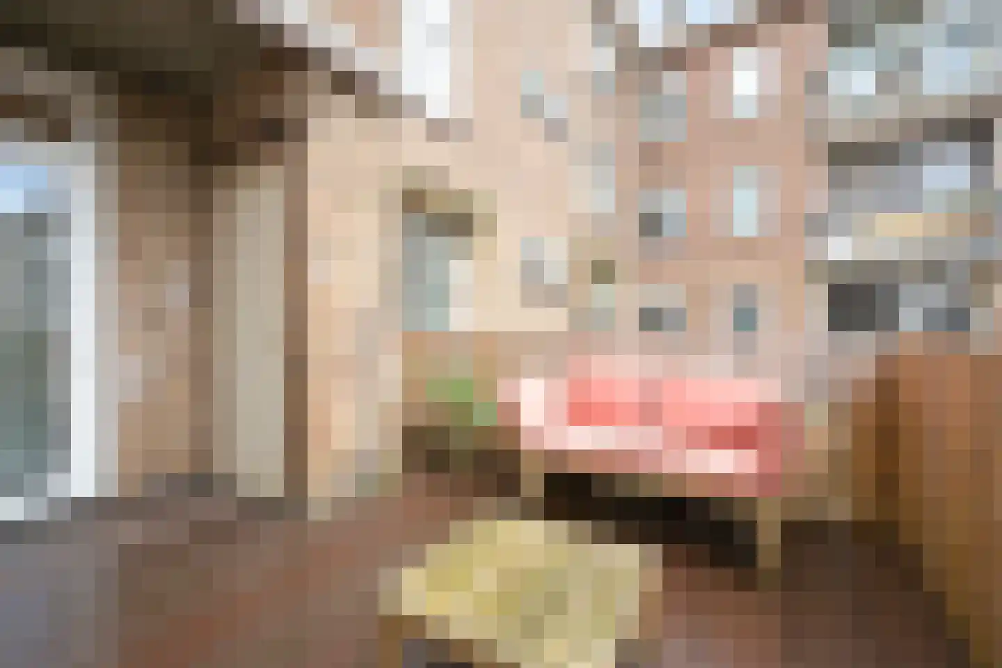 Lindelaan 215 Rijswijk thumbnail 14