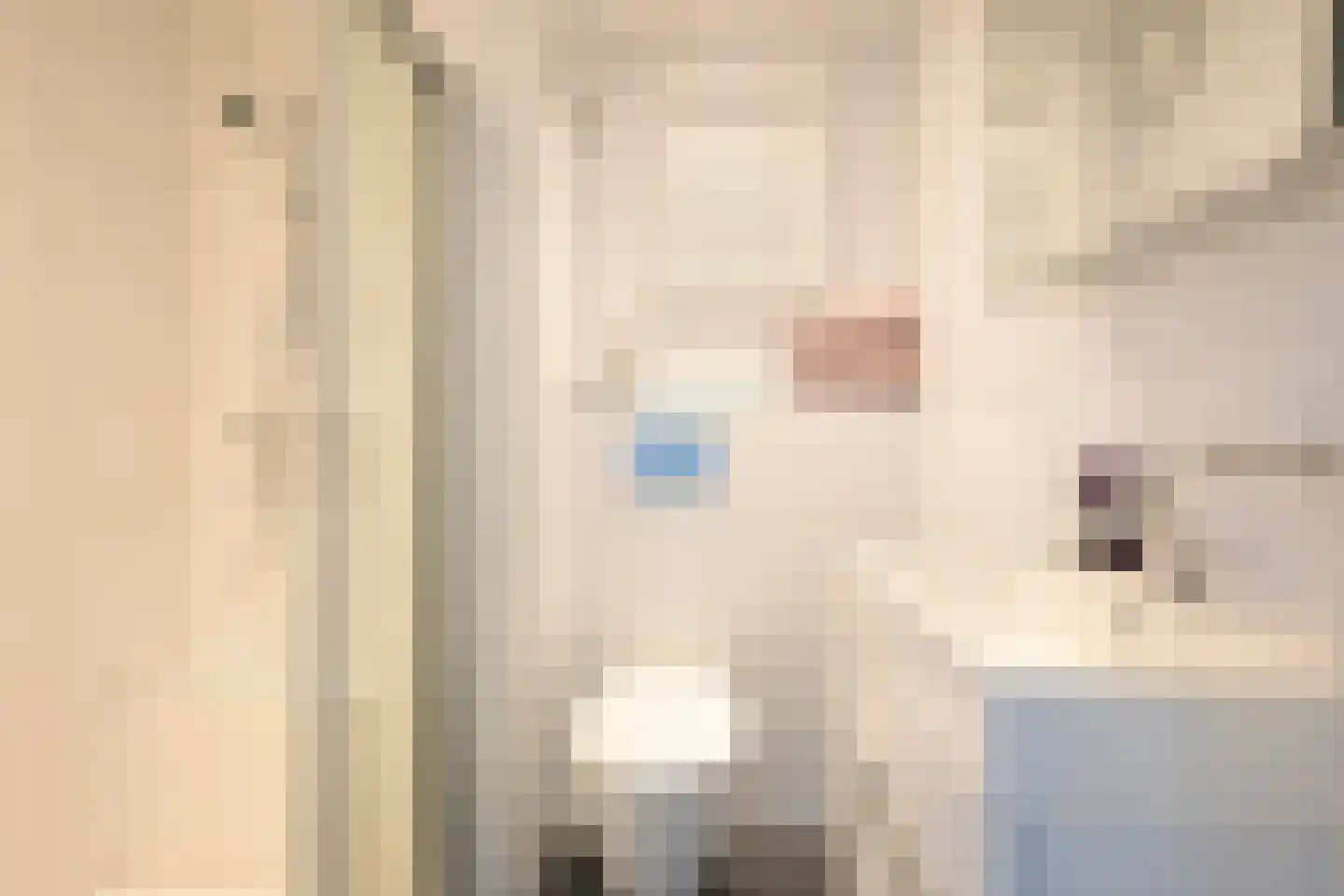Lindelaan 215 Rijswijk thumbnail 18