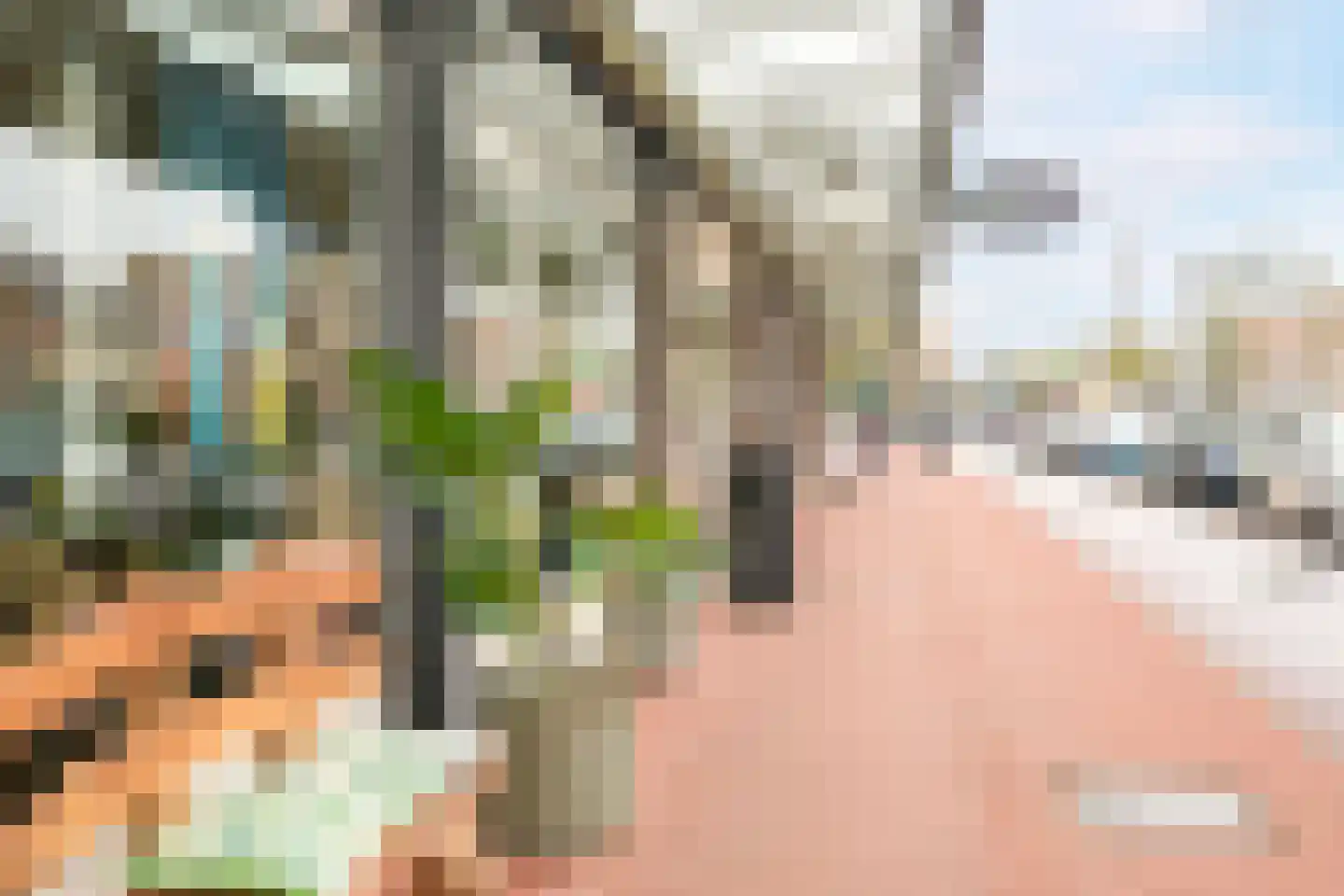 Lindelaan 215 Rijswijk thumbnail 23