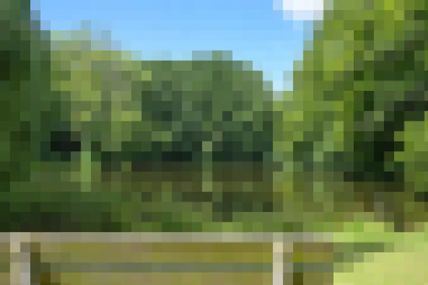 Lindelaan 215 Rijswijk thumbnail 25