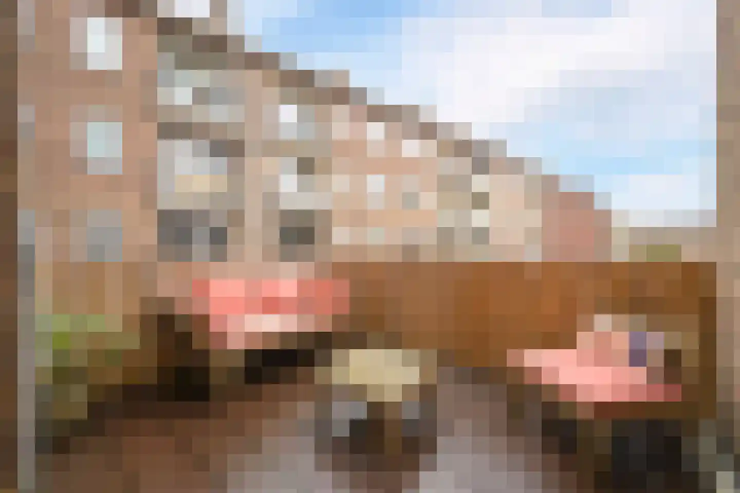 Lindelaan 215 Rijswijk thumbnail 4