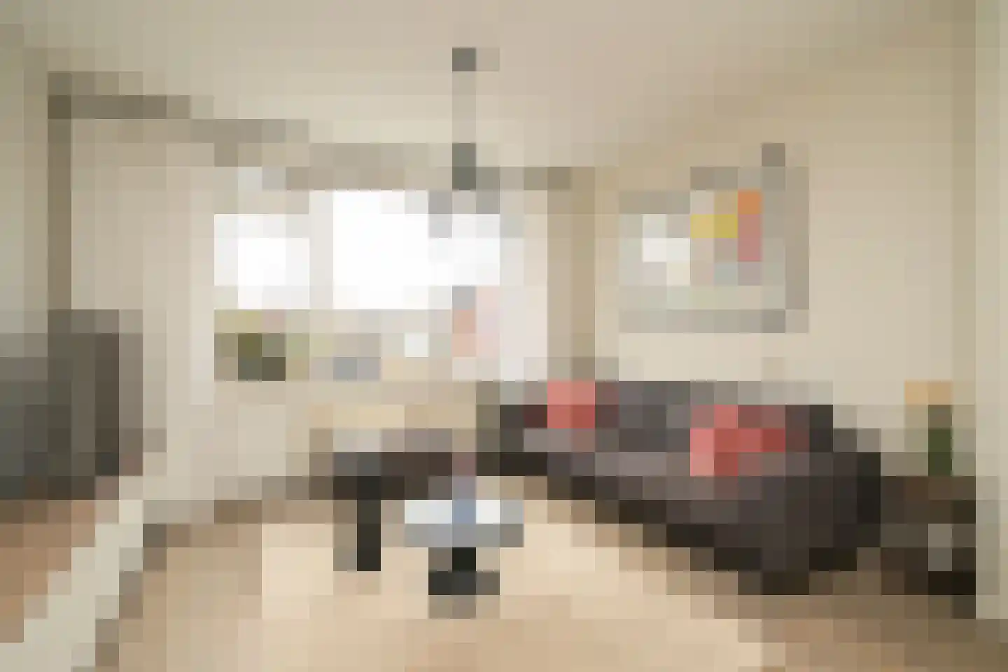Lindelaan 215 Rijswijk thumbnail 5