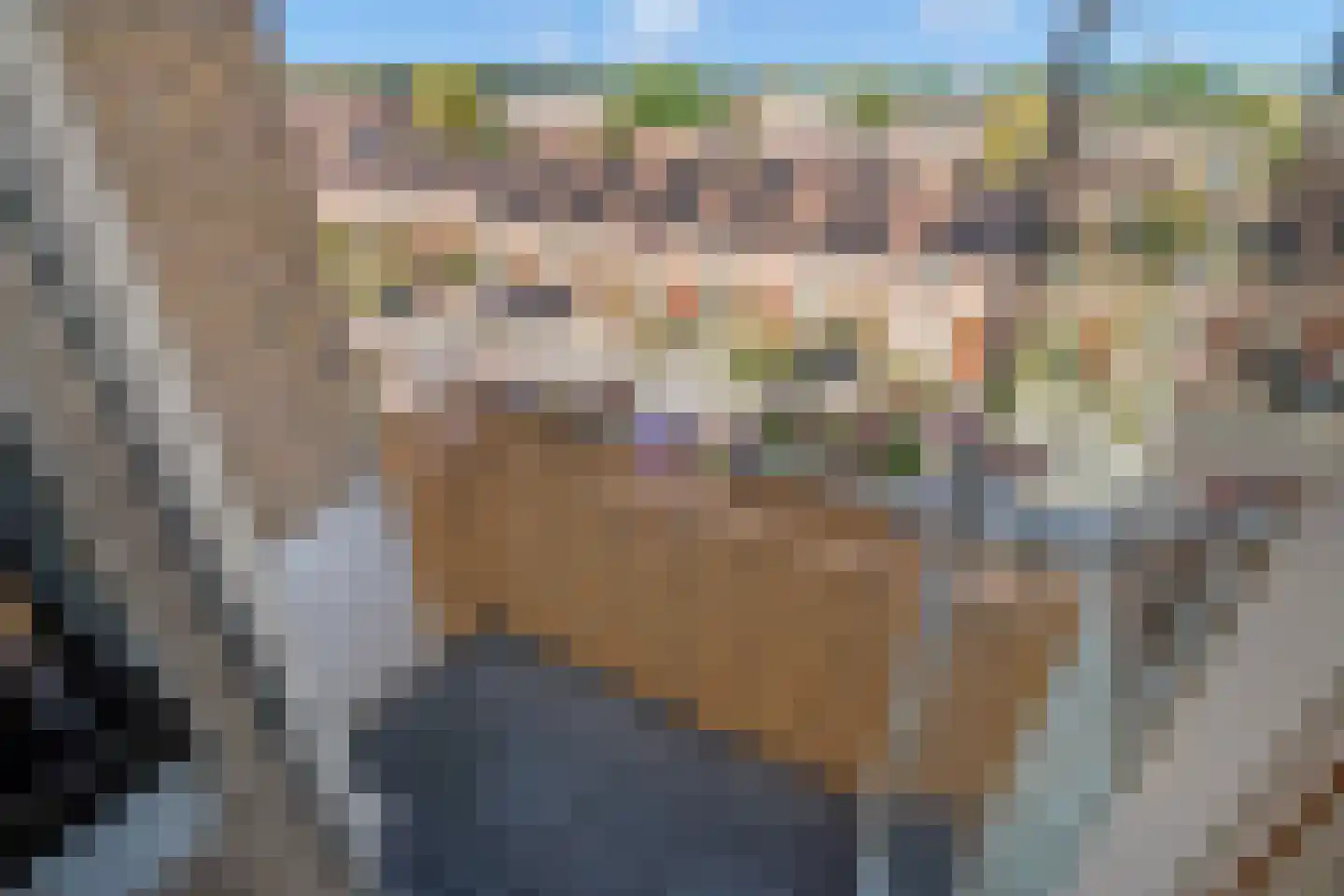 Lindelaan 219 Rijswijk thumbnail 13