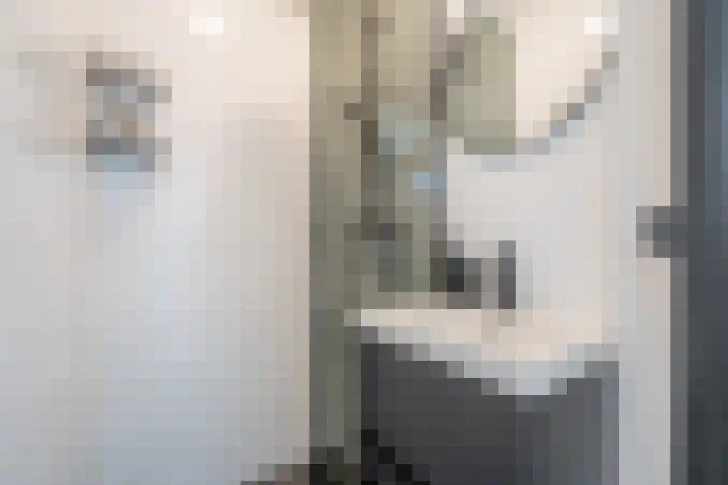 Lindelaan 219 Rijswijk thumbnail 22