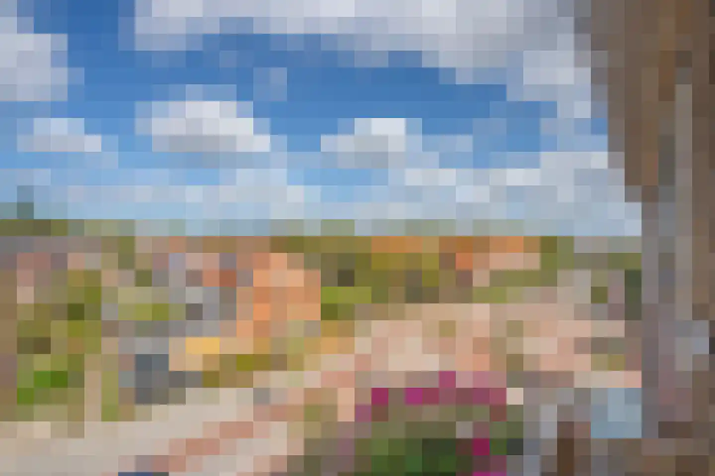 Lindelaan 219 Rijswijk thumbnail 4