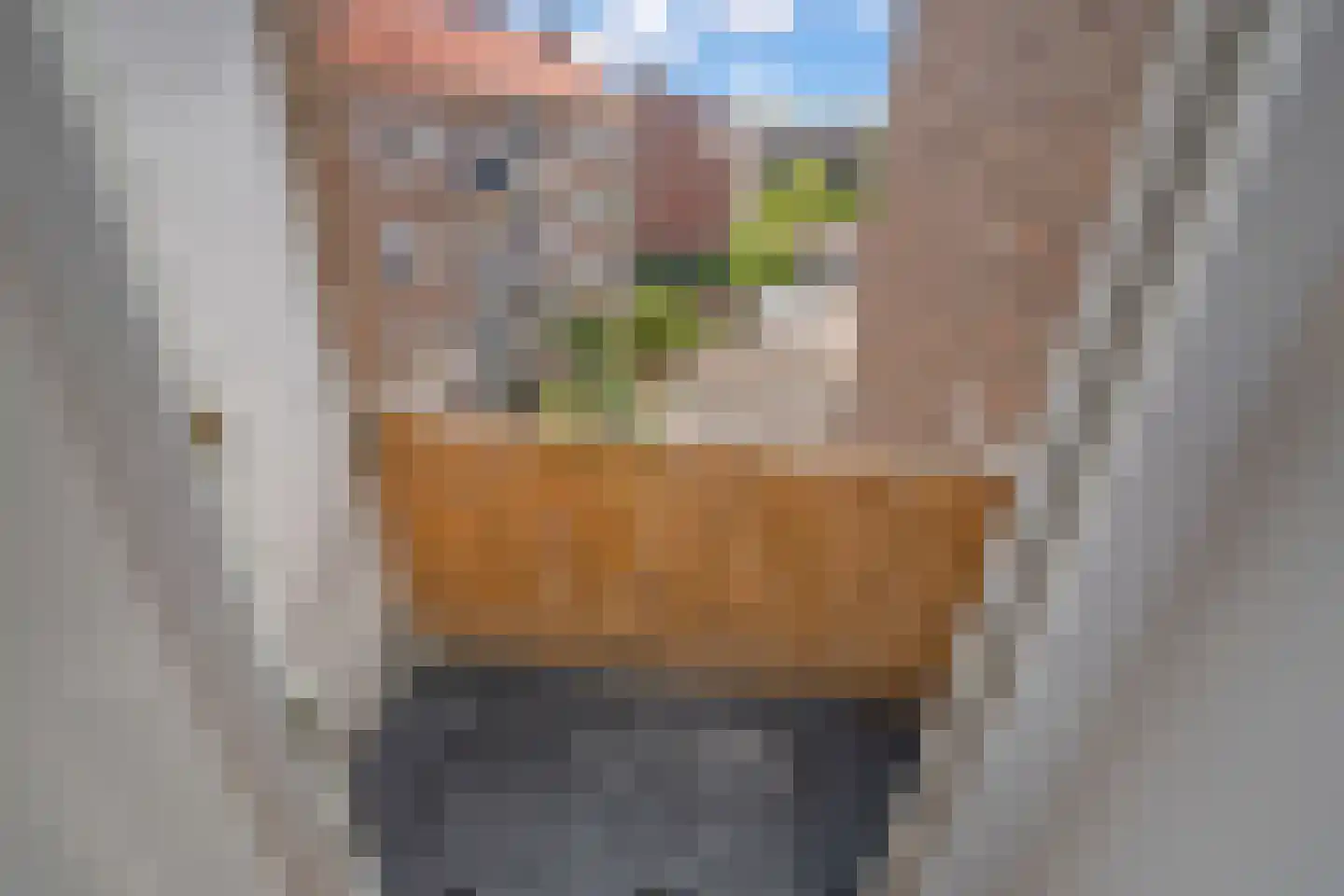 Lindelaan 219 Rijswijk thumbnail 6