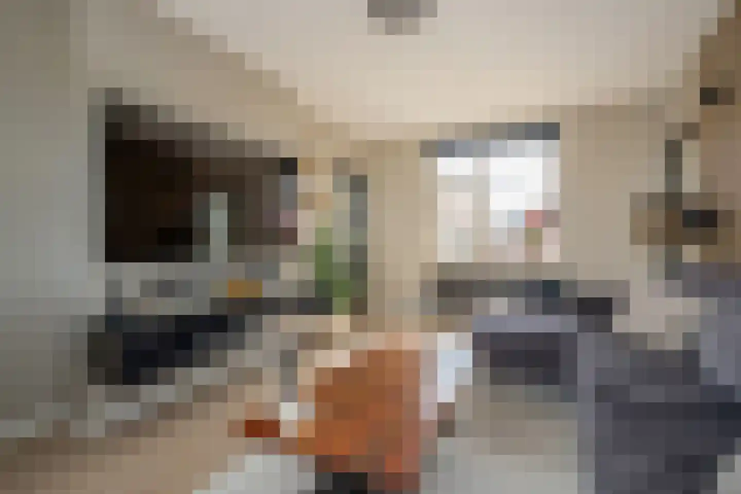 Lindelaan 219 Rijswijk thumbnail 8