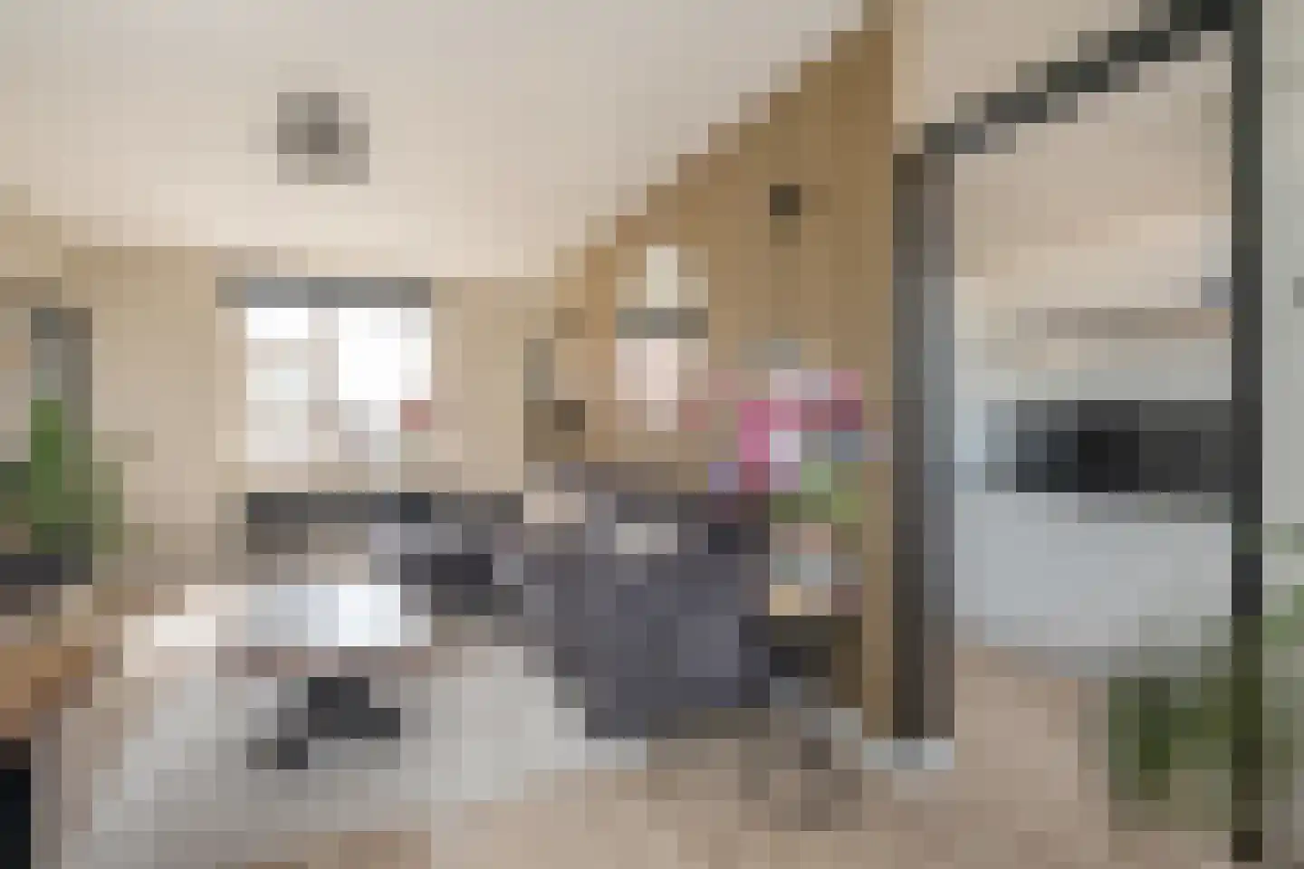 Lindelaan 219 Rijswijk thumbnail 9