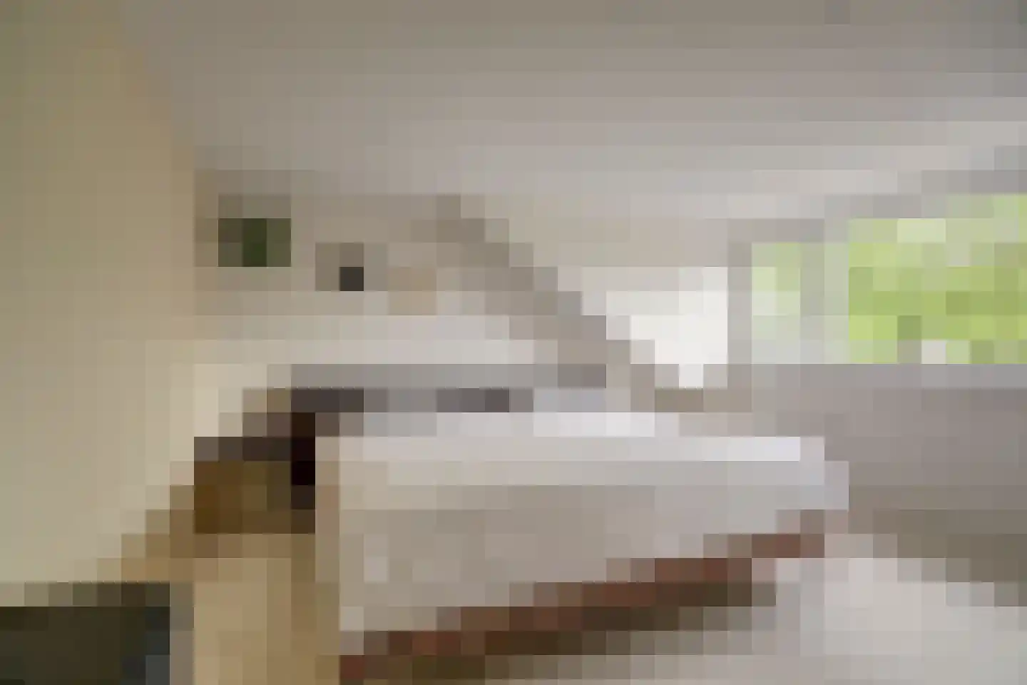 Lindelaan 22 Gouda thumbnail 23