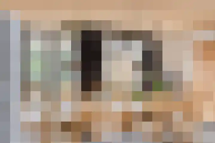 Lindelaan 22 Haaren thumbnail 10