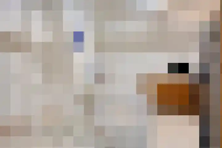 Lindelaan 22 Haaren thumbnail 26