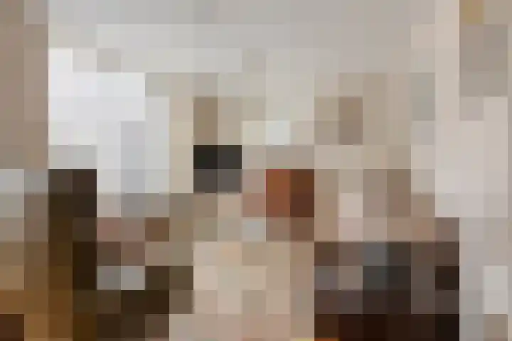 Lindelaan 22 Haaren thumbnail 6