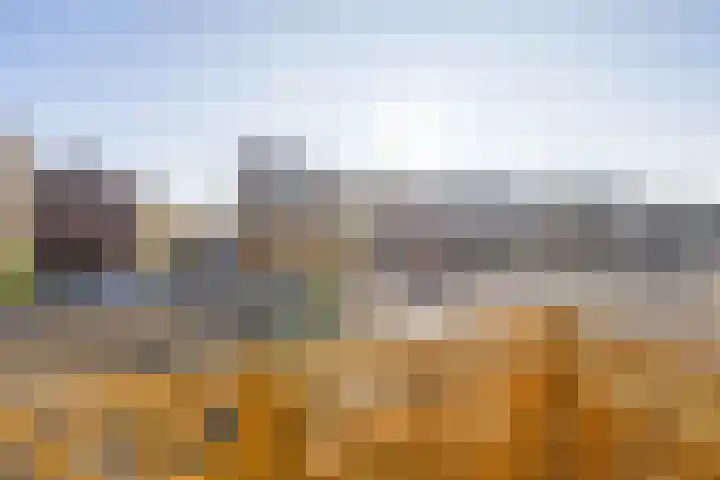 Lindelaan 225 Rijswijk thumbnail 13