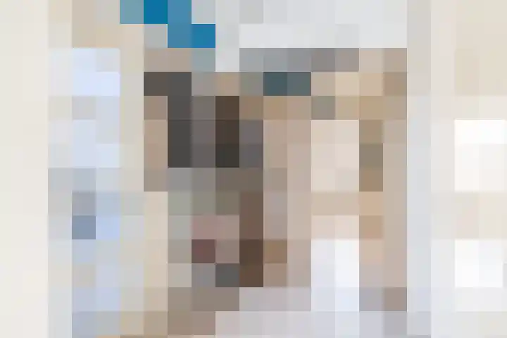 Lindelaan 225 Rijswijk thumbnail 6