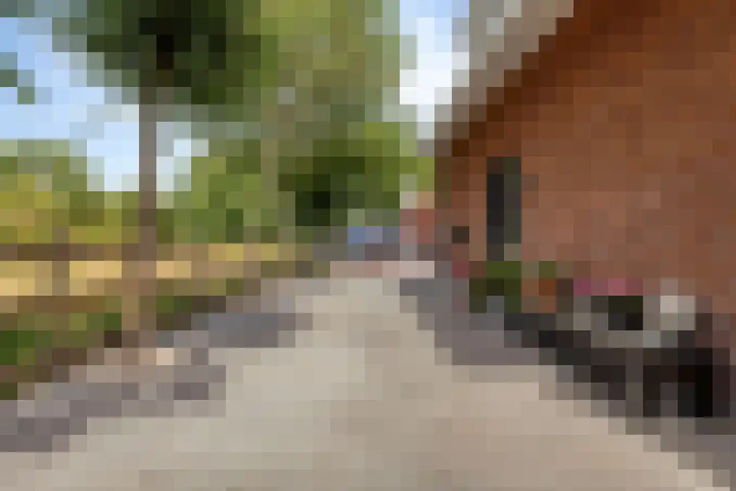 Lindelaan 23 e Renesse thumbnail 12