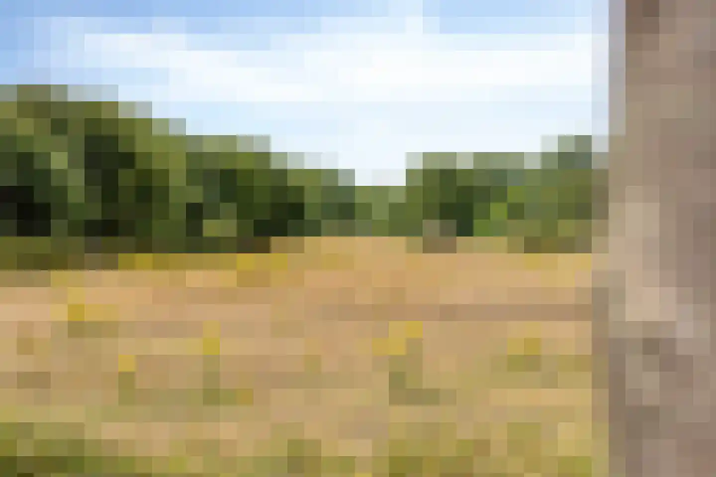 Lindelaan 23 e Renesse thumbnail 13