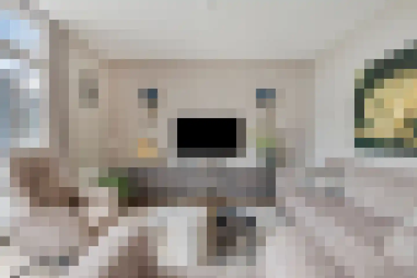 Lindelaan 23 e Renesse thumbnail 18