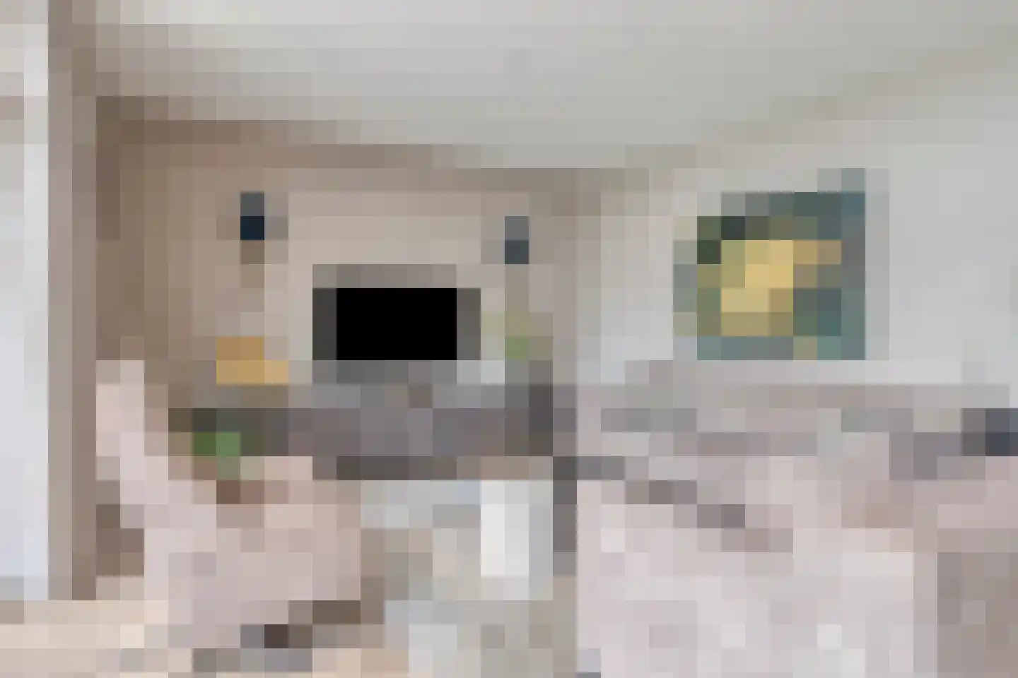 Lindelaan 23 e Renesse thumbnail 19