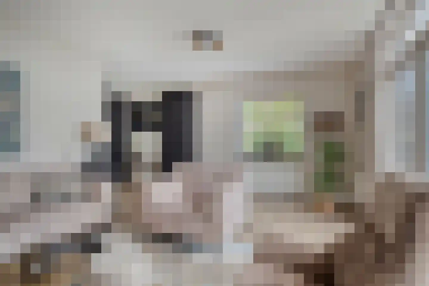 Lindelaan 23 e Renesse thumbnail 20