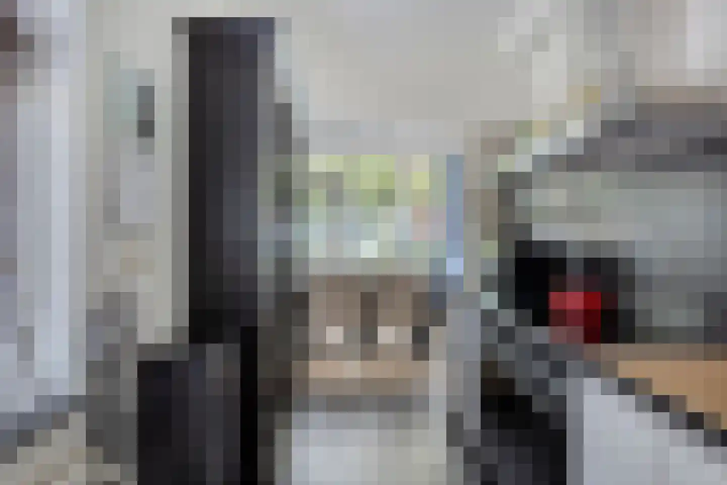 Lindelaan 23 e Renesse thumbnail 28