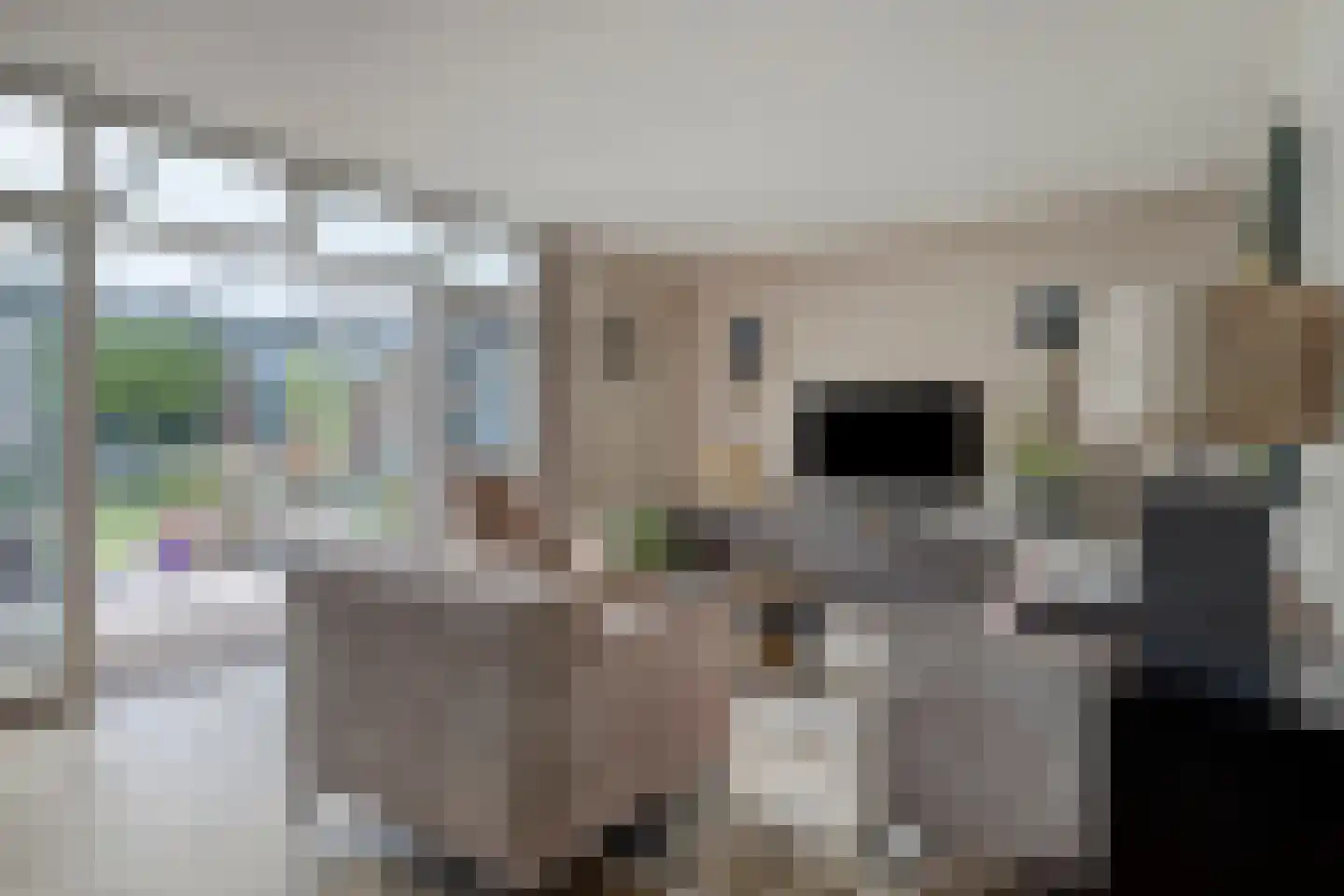 Lindelaan 23 e Renesse thumbnail 31