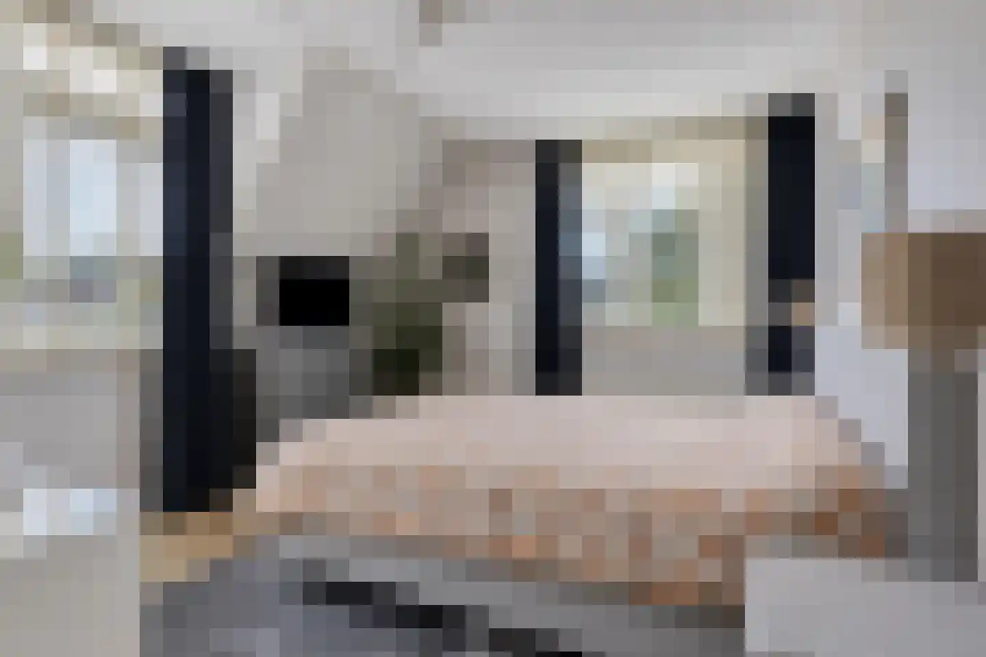 Lindelaan 23 e Renesse thumbnail 32