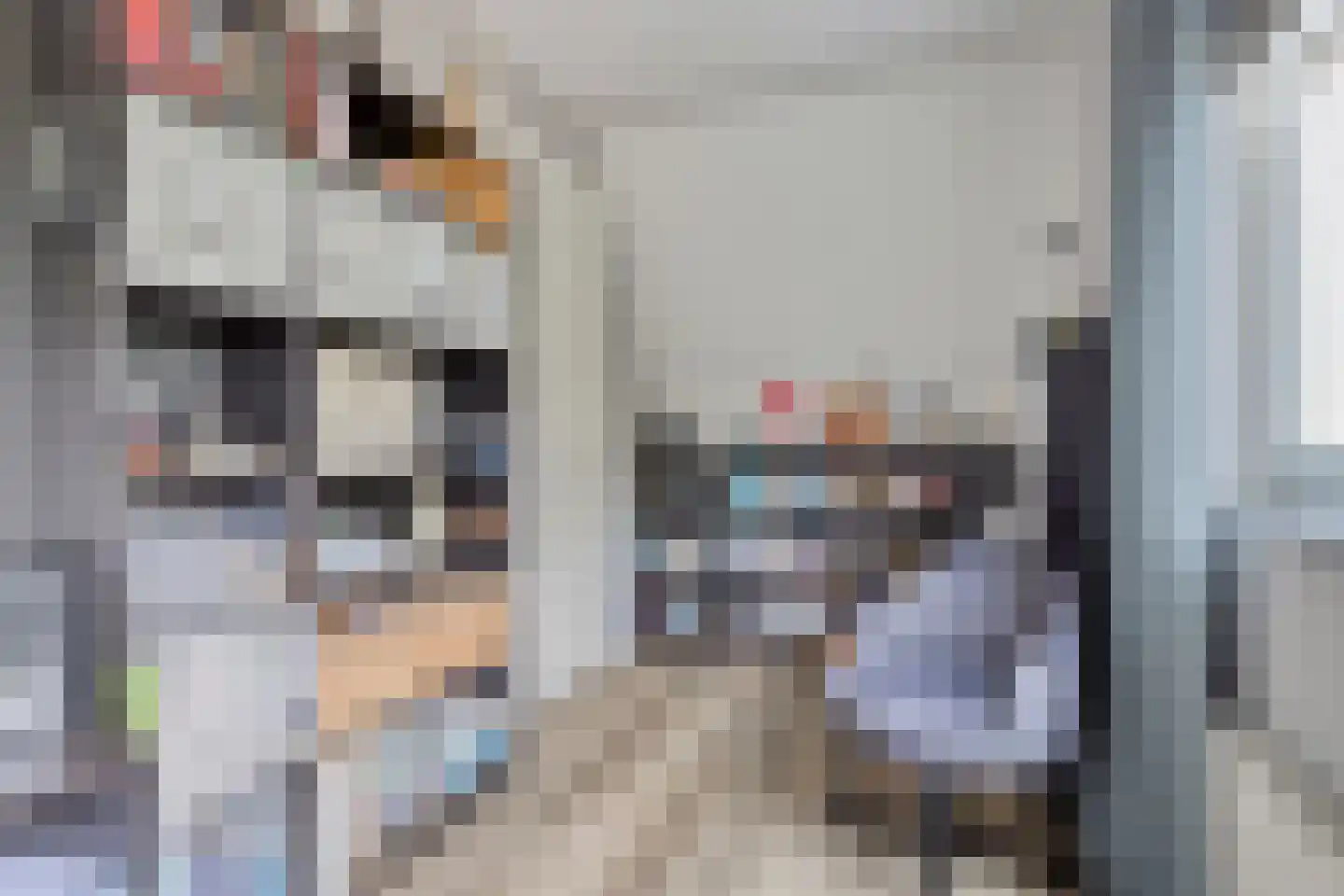 Lindelaan 23 e Renesse thumbnail 37