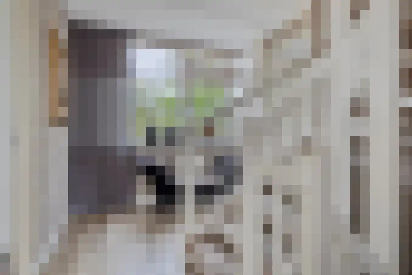 Lindelaan 23 e Renesse thumbnail 41