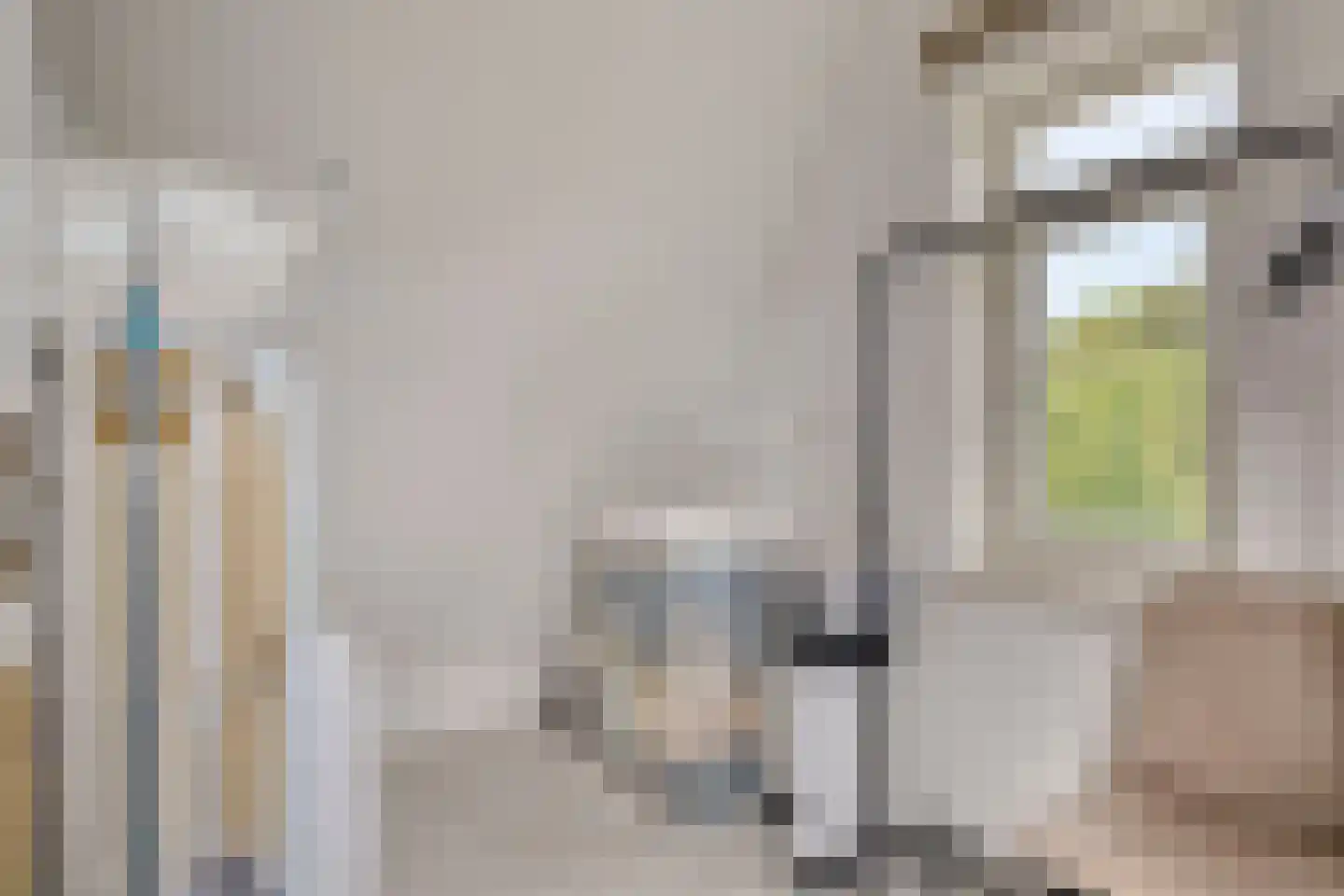 Lindelaan 23 e Renesse thumbnail 46
