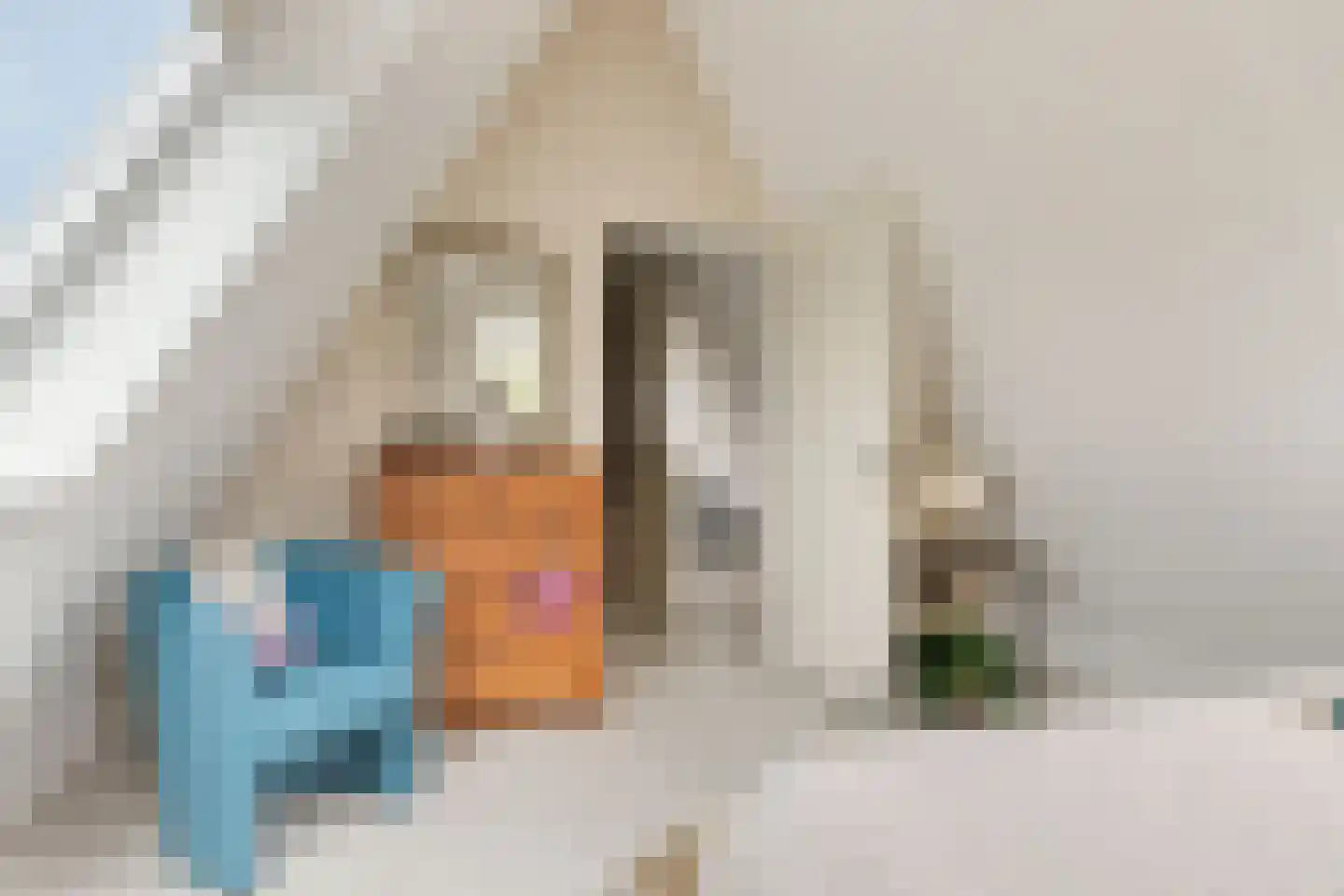 Lindelaan 23 e Renesse thumbnail 49