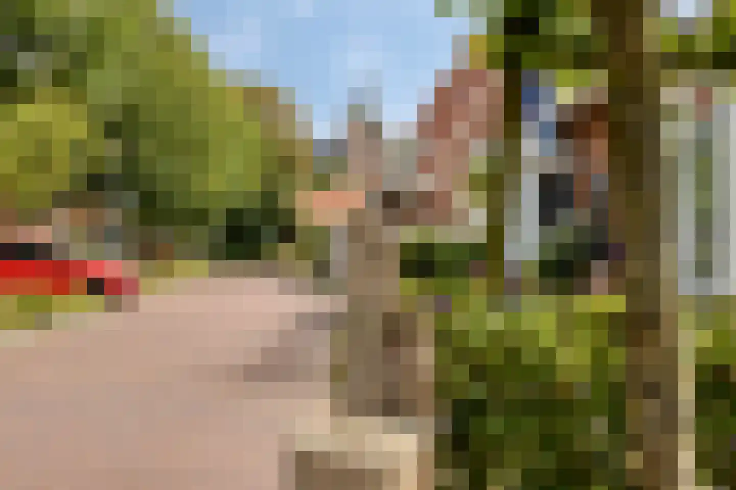 Lindelaan 23 e Renesse thumbnail 5