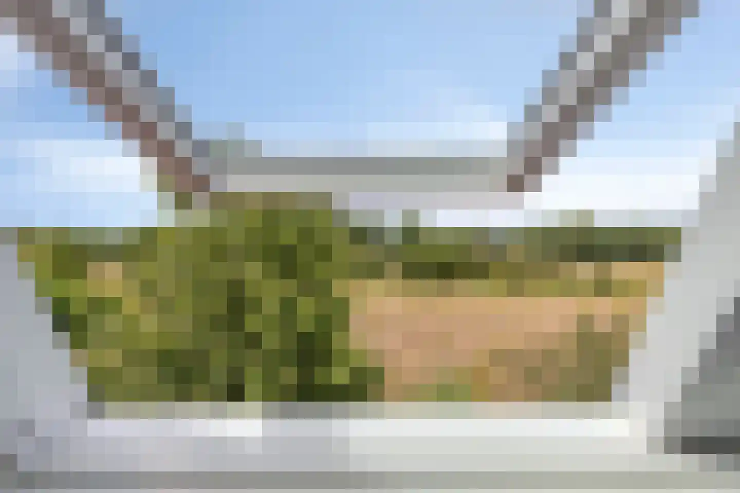 Lindelaan 23 e Renesse thumbnail 50