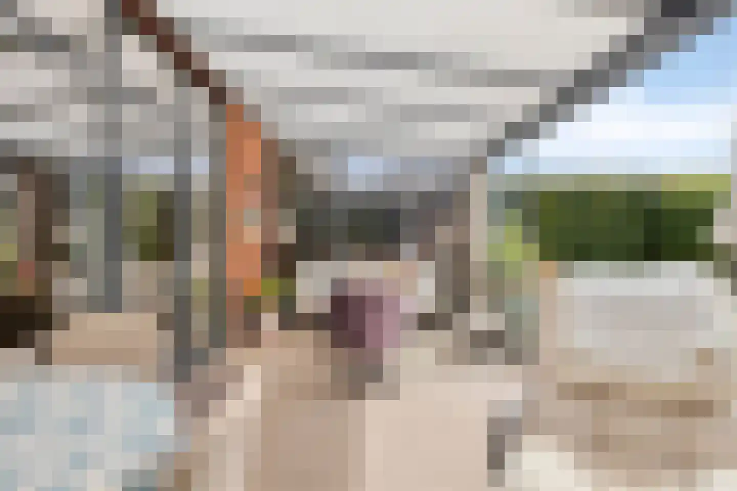 Lindelaan 23 e Renesse thumbnail 52