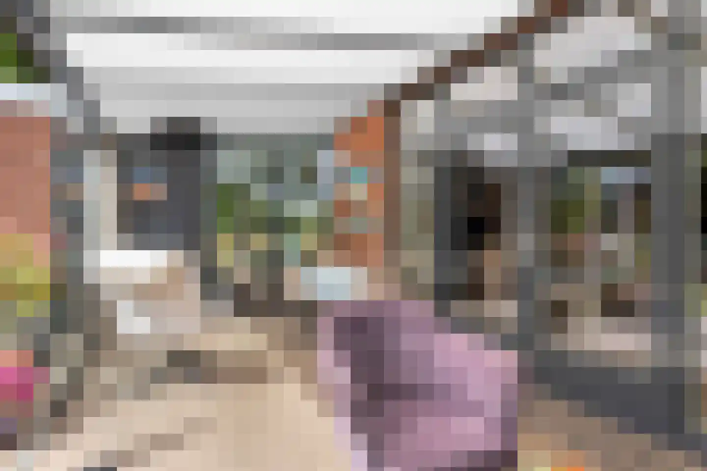 Lindelaan 23 e Renesse thumbnail 53