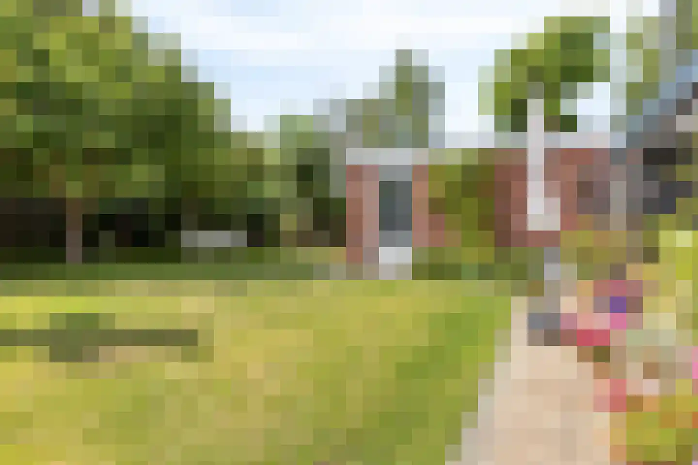 Lindelaan 23 e Renesse thumbnail 55