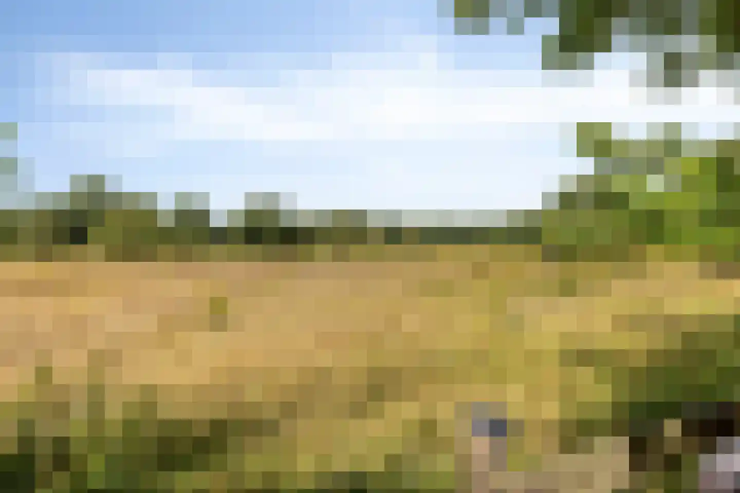 Lindelaan 23 e Renesse thumbnail 63