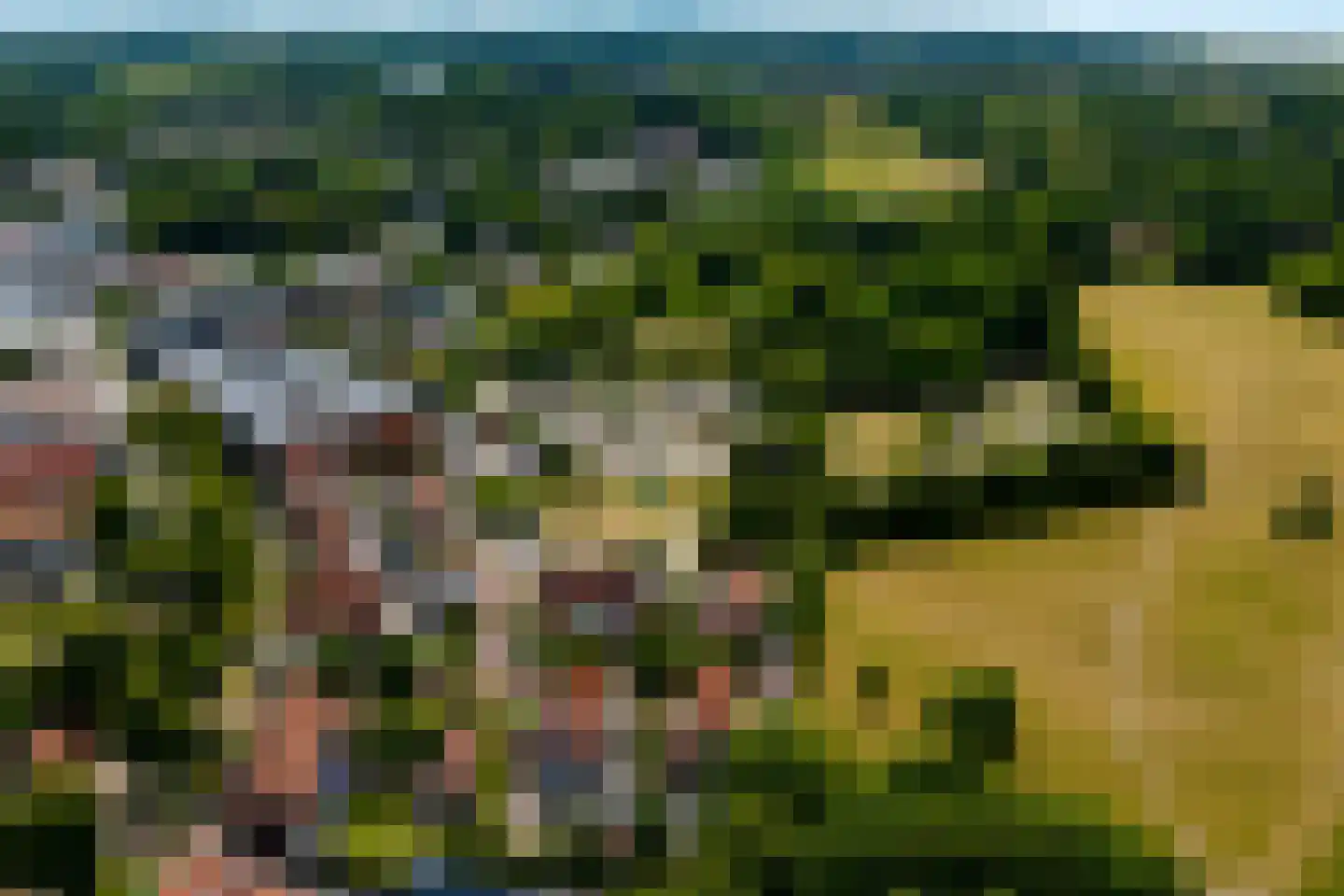 Lindelaan 23 e Renesse thumbnail 64