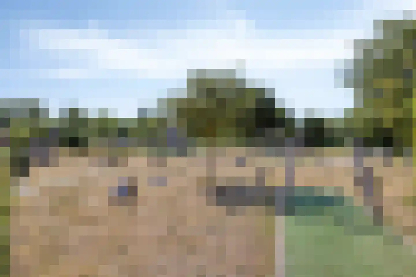 Lindelaan 23 e Renesse thumbnail 72
