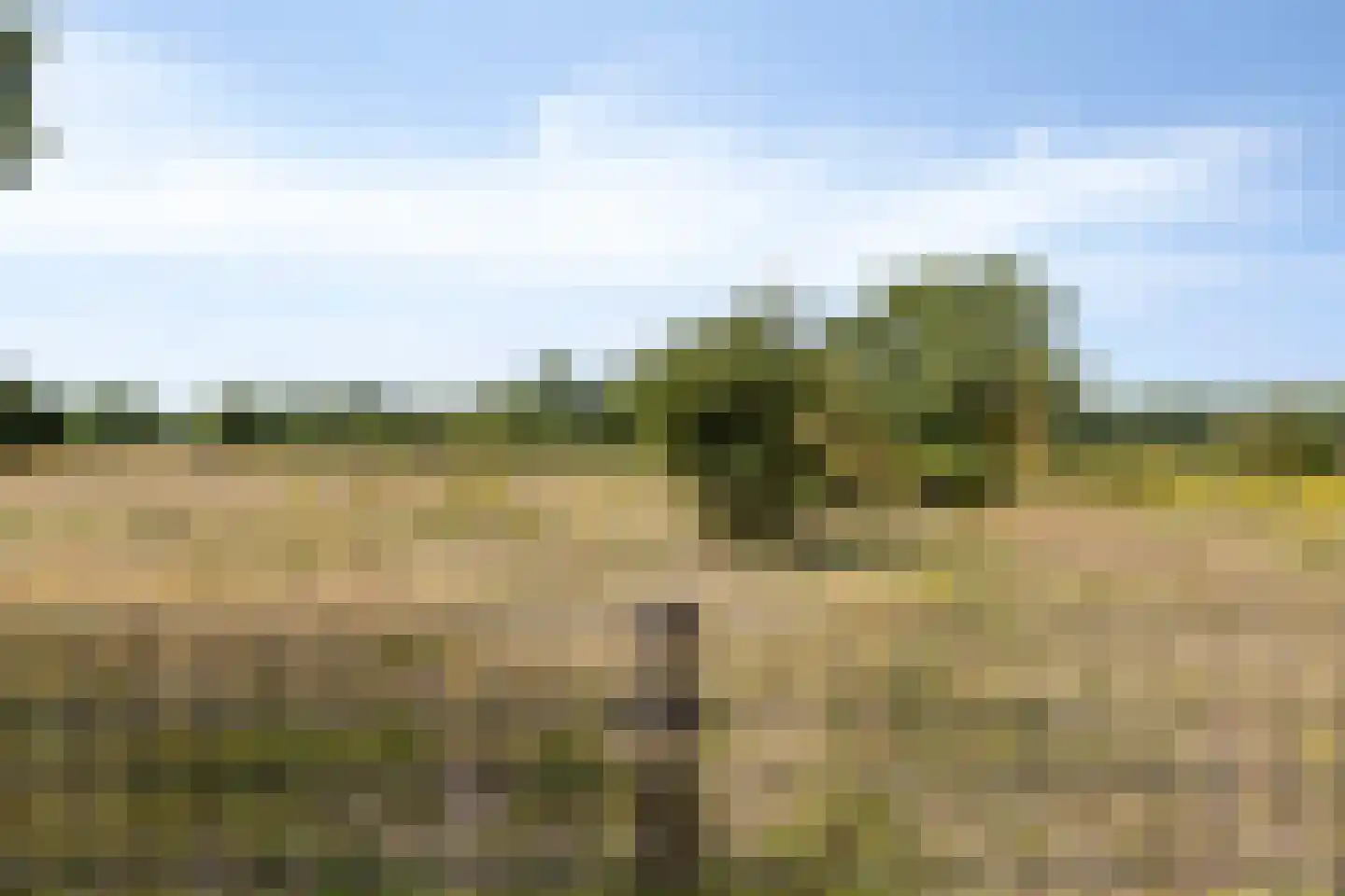 Lindelaan 23 e Renesse thumbnail 8