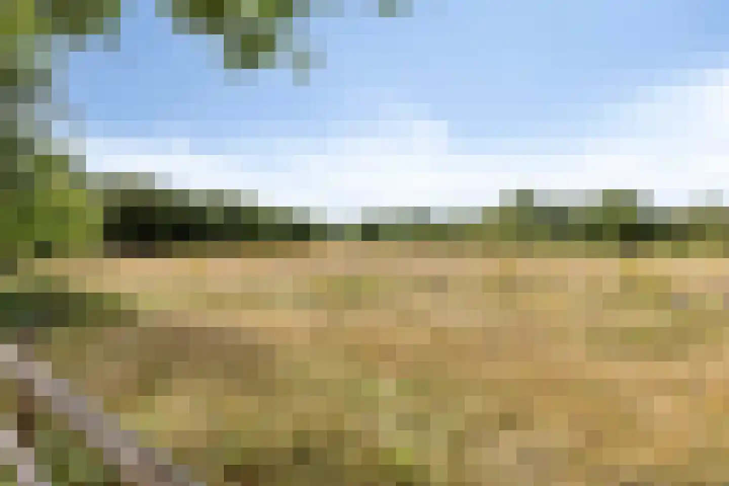 Lindelaan 23 e Renesse thumbnail 9