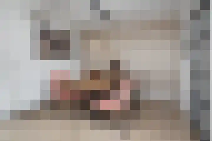 Lindelaan 23 Grootebroek thumbnail 11
