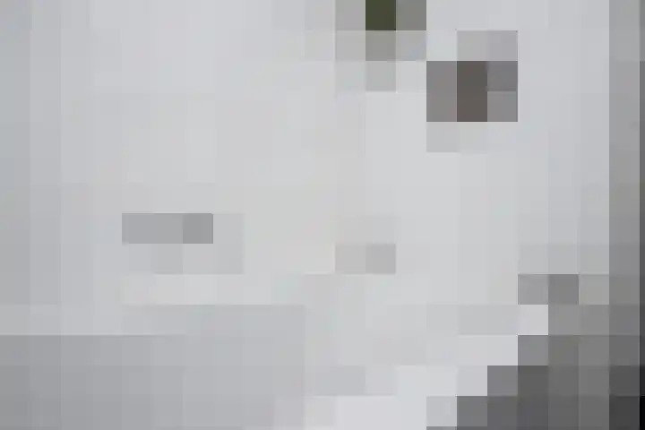 Lindelaan 23 Grootebroek thumbnail 17