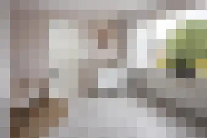 Lindelaan 23 Grootebroek thumbnail 19