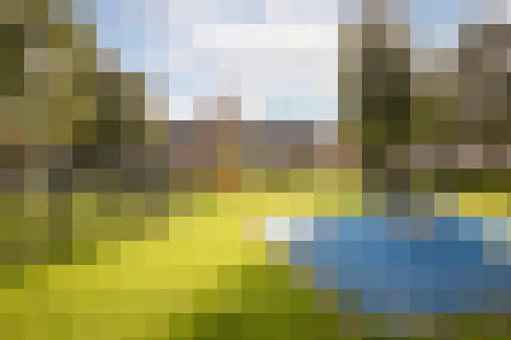 Lindelaan 23 Grootebroek thumbnail 36