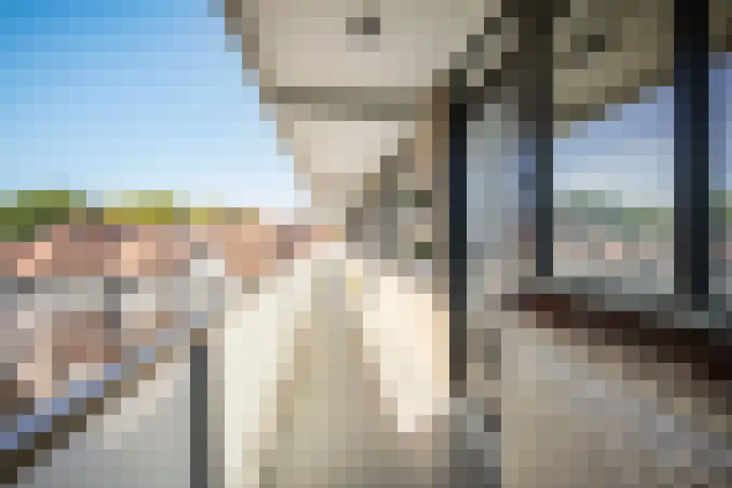 Lindelaan 26 Ede thumbnail 29