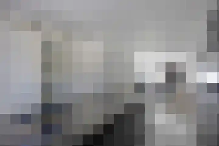 Lindelaan 26 Kessel thumbnail 5