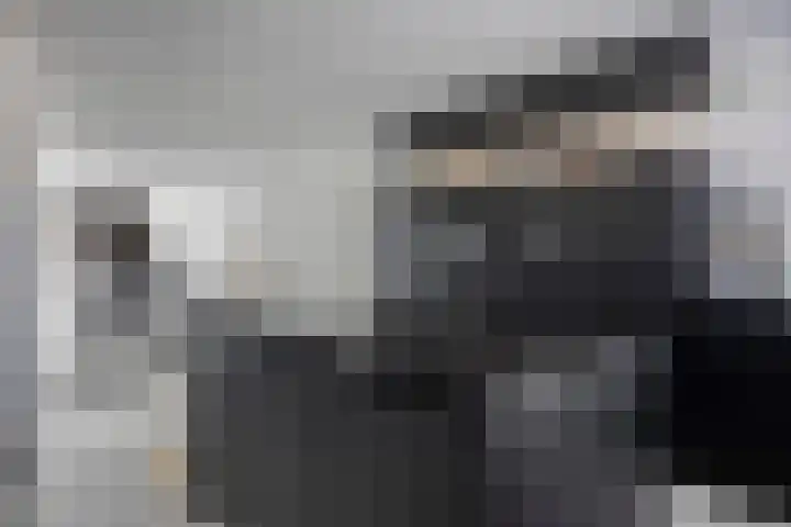 Lindelaan 26 Kessel thumbnail 7