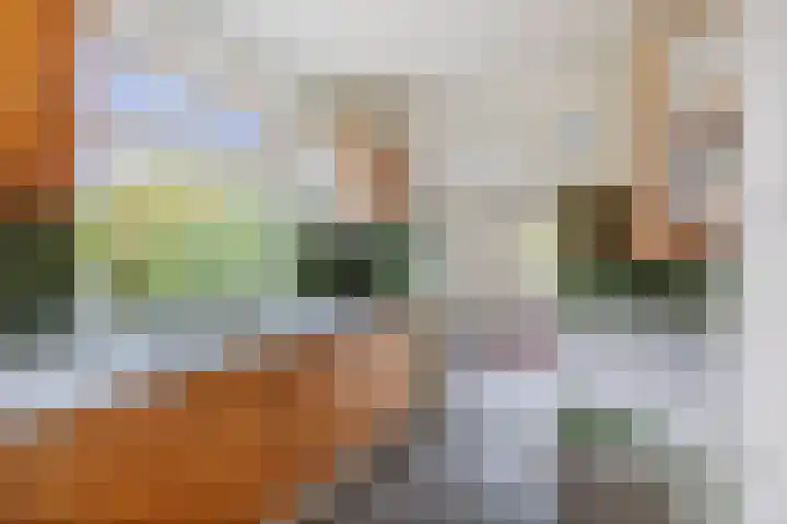 Lindelaan 26 Twello thumbnail 11
